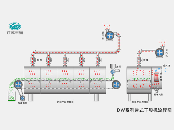 DW series belt dryer